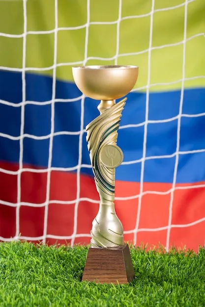 华体育app 界面展示